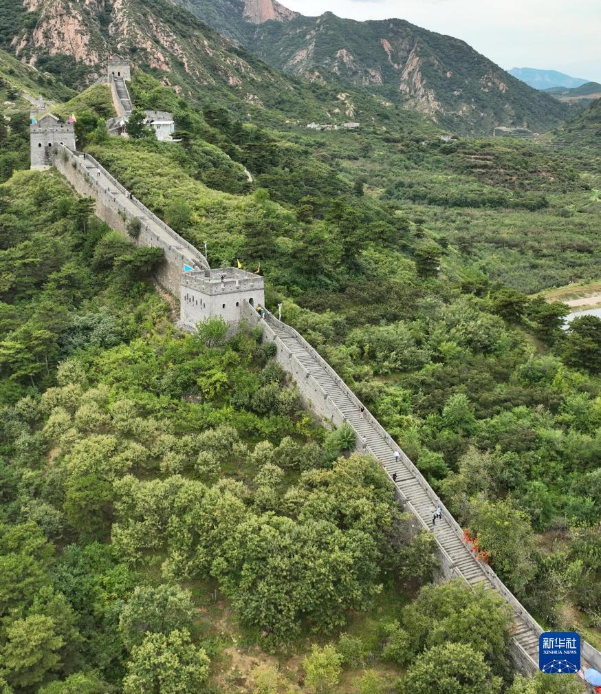 捕鱼合集可下分